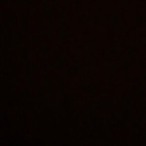 Meet your Posher, Ally